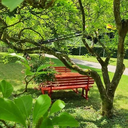 Am Sahrbach Bed & Breakfast